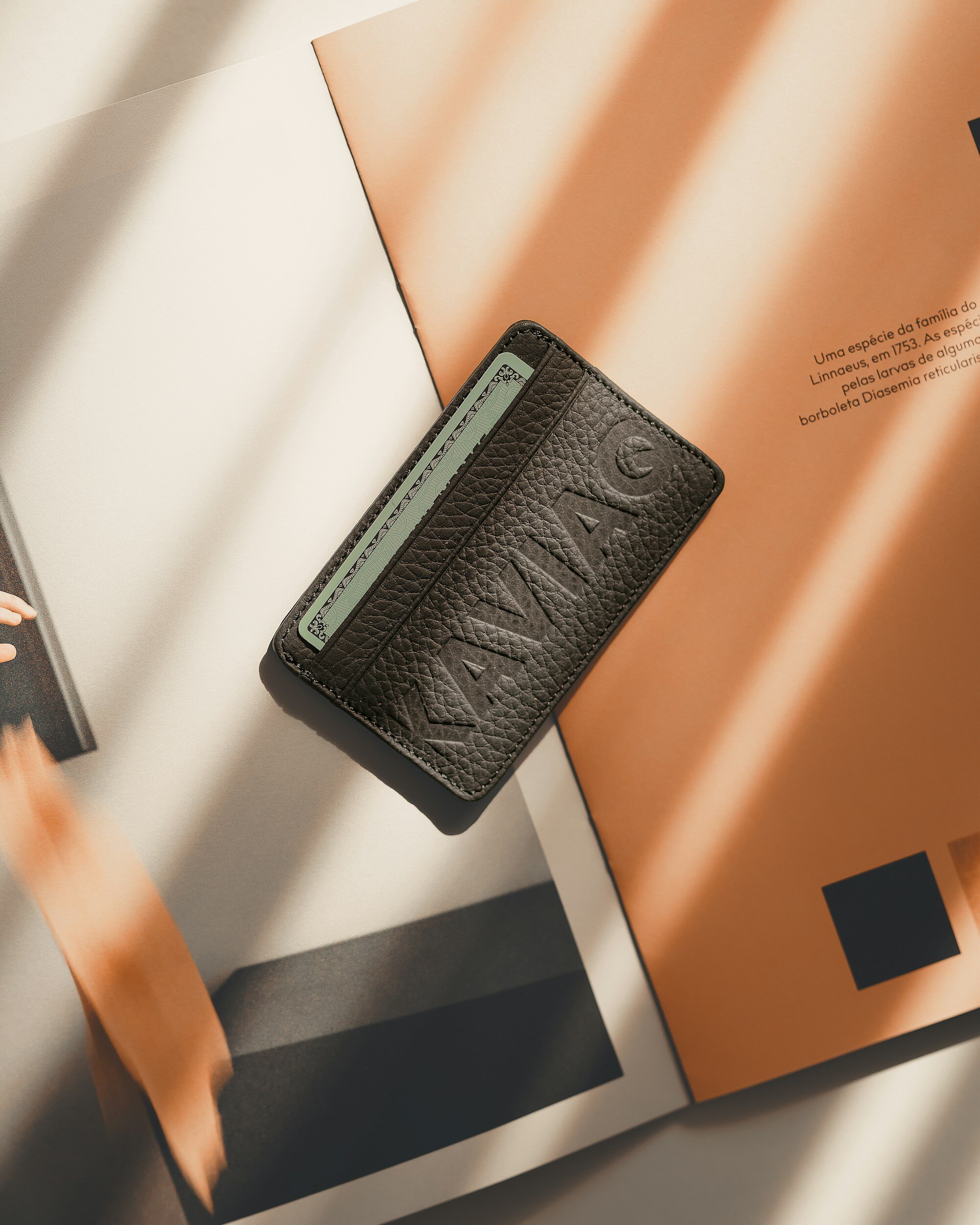 The Fayoum bifold in black, in hard shadow